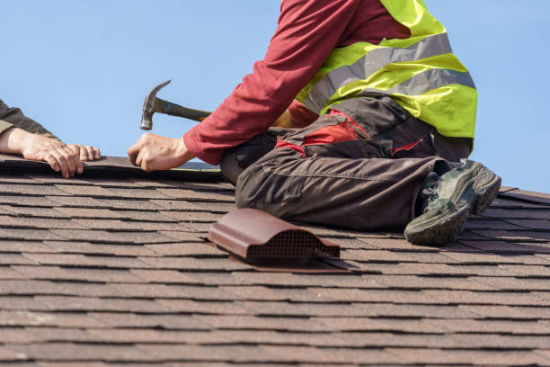 Best Roof Waterproofing Services  in Belleville, MI