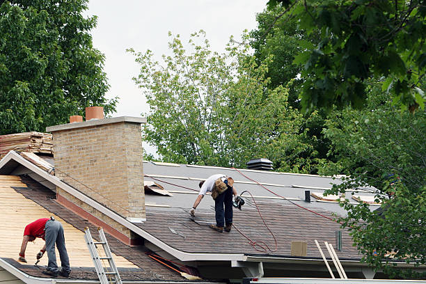 Best Shingle Roofing Installation  in Belleville, MI