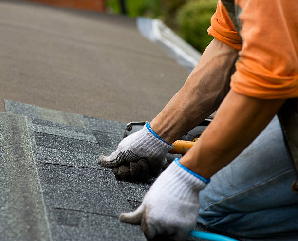 Best Commercial Roof Installation  in Belleville, MI