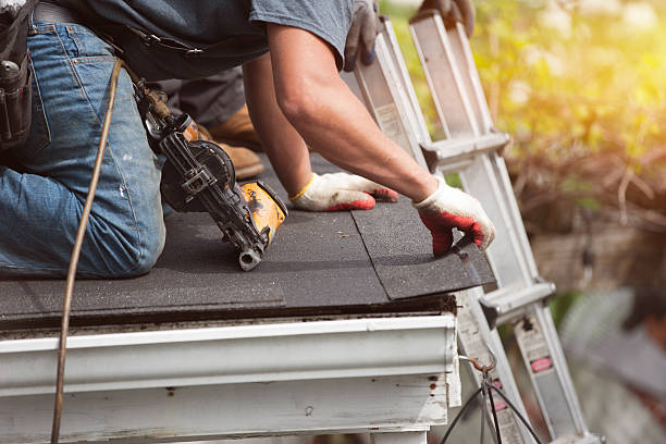 Best Roof Repair Services  in Belleville, MI